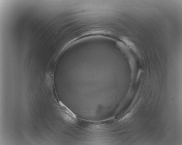 X0000068841369200605081228