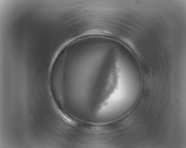 X0000068841371200605081228