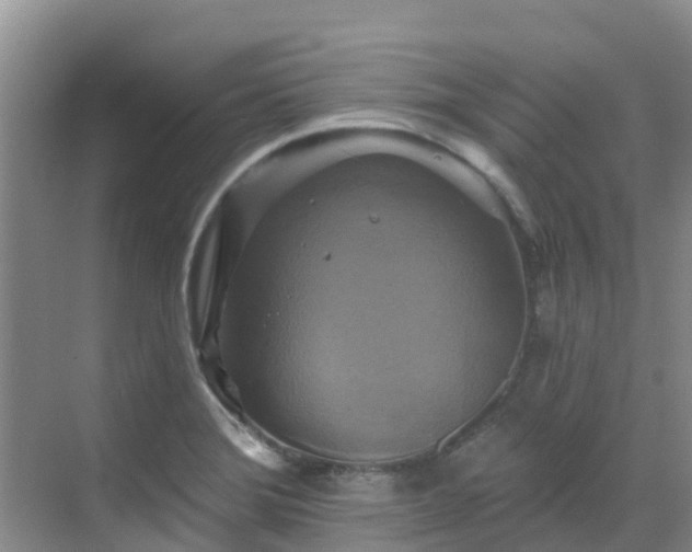 X0000068841372200605081228