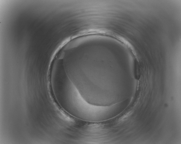 X0000068841373200605081228