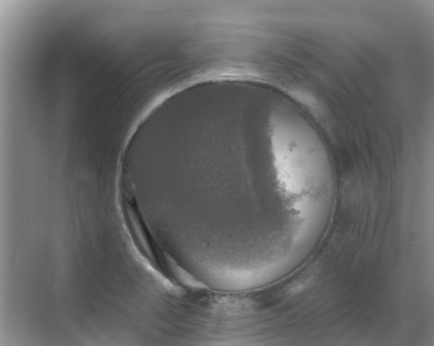 X0000068841374200605081228