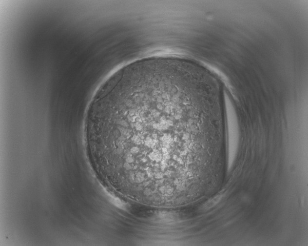 X0000068841375200605081228