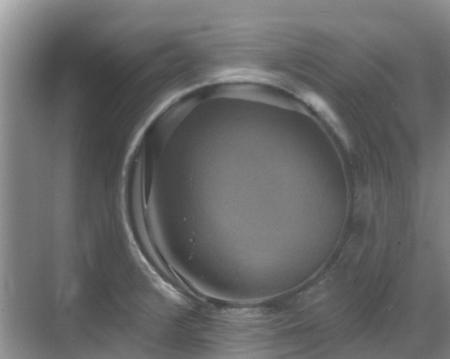 X0000068841376200605081228