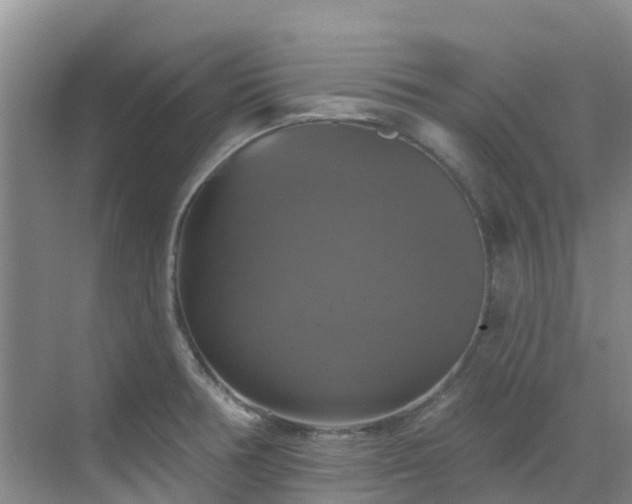 X0000068841378200605081228