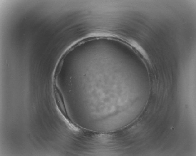 X0000068841380200605081228