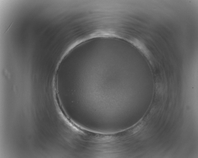 X0000068841382200605081228