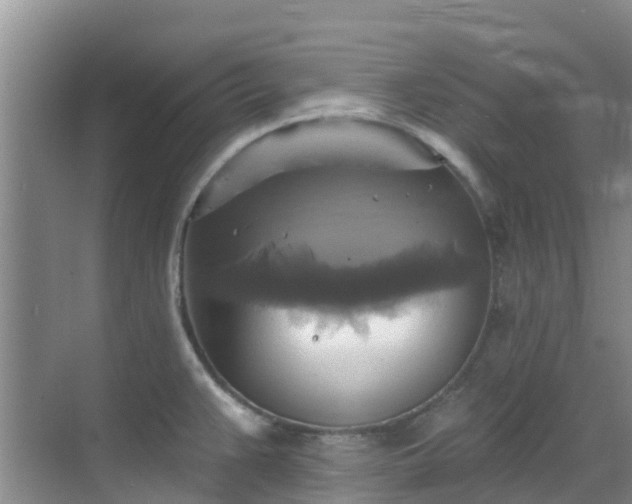 X0000068841383200605081228