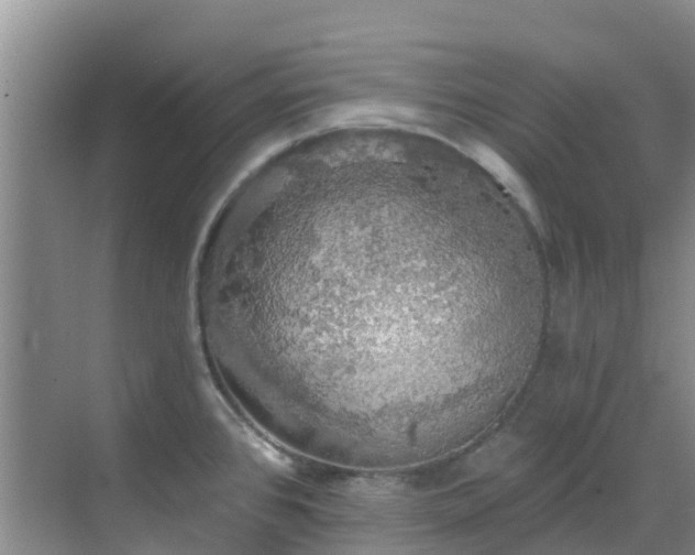 X0000068841384200605081228