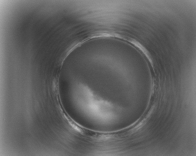 X0000068841385200605081228