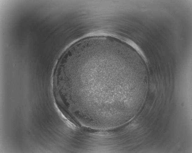 X0000068841388200605081228