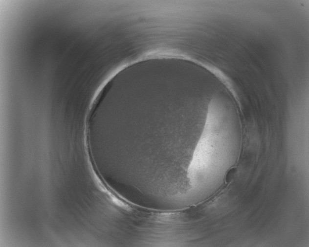 X0000068841390200605081228