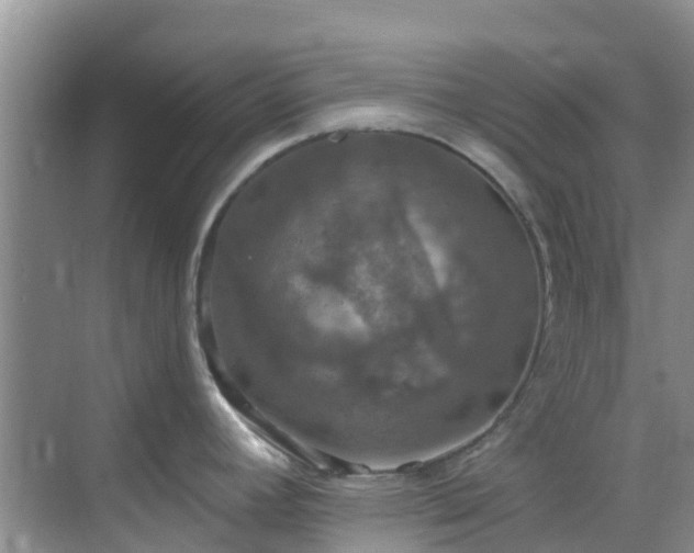 X0000068841392200605081228