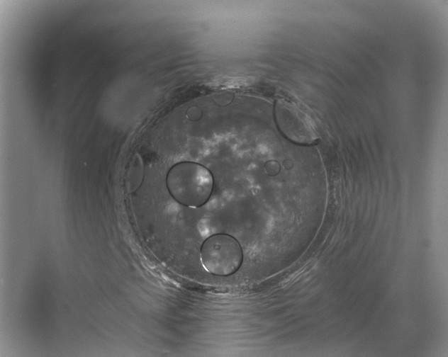 X0000068841393200605081227