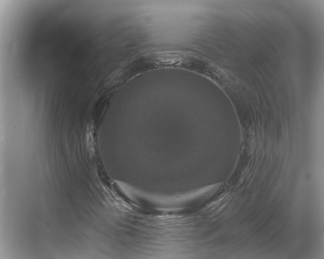 X0000068841394200605081227