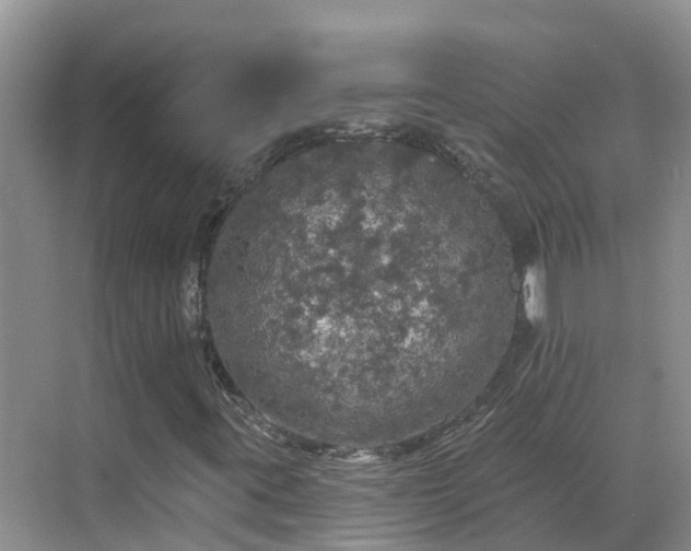 X0000068841395200605081227