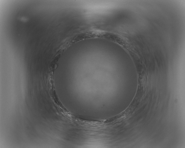 X0000068841397200605081227