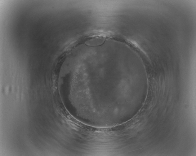 X0000068841399200605081227