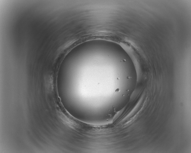 X0000068841402200605081227