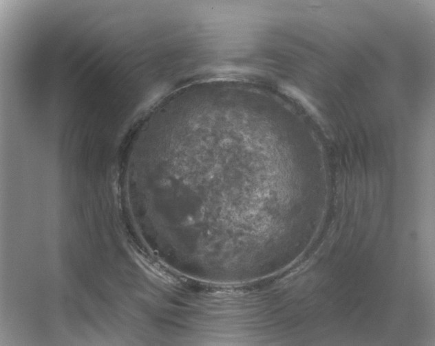 X0000068841403200605081227