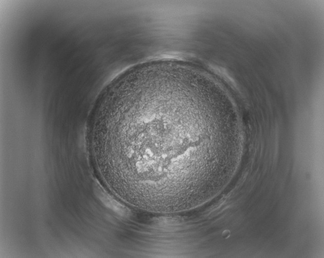 X0000068841404200605081227