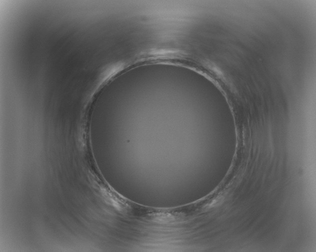 X0000068841405200605081227