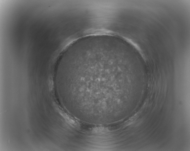 X0000068841407200605081227