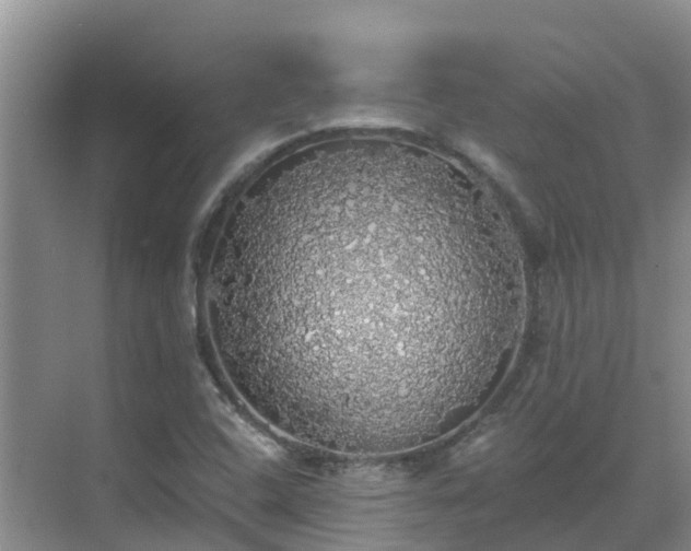 X0000068841408200605081227