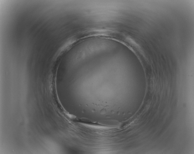 X0000068841411200605081227