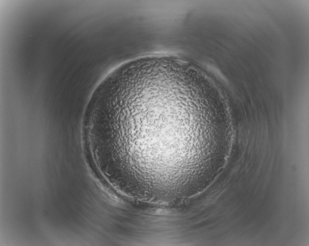 X0000068841412200605081227