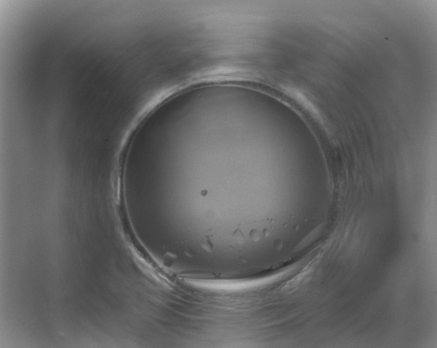 X0000068841413200605081227