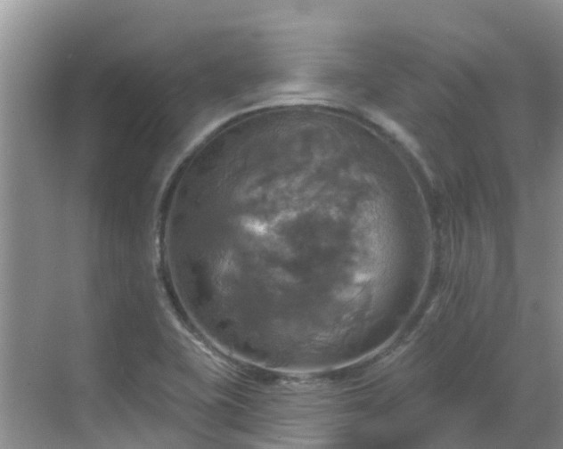 X0000068841415200605081227