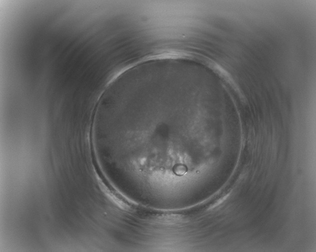 X0000068841417200605081227