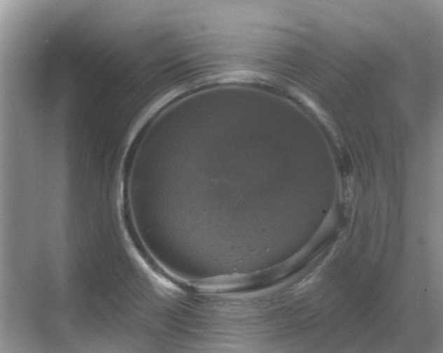 X0000068841418200605081227