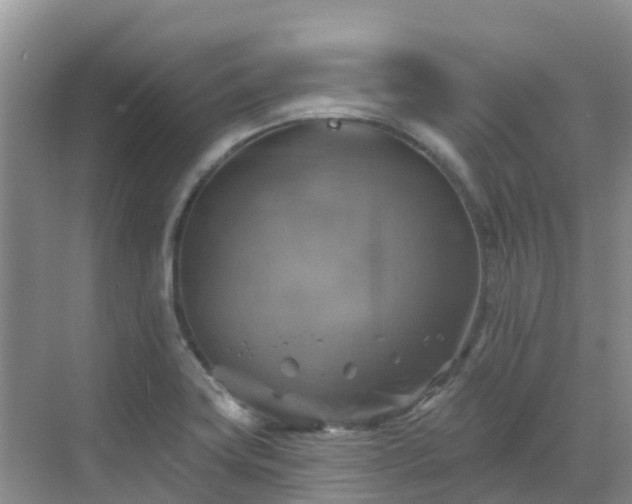 X0000068841419200605081227