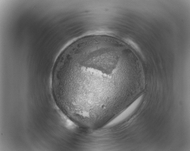 X0000068841420200605081227