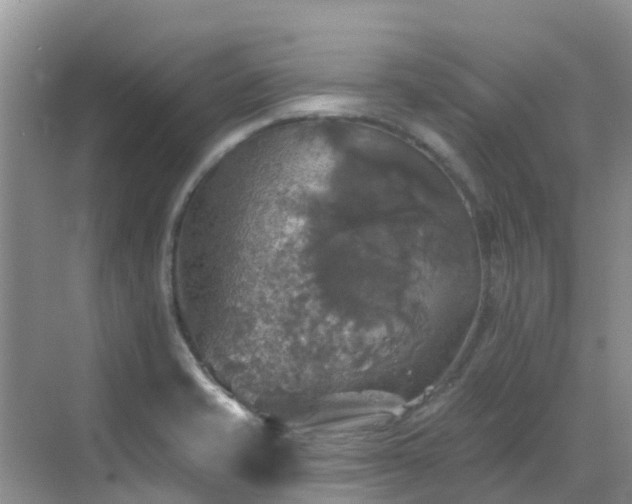 X0000068841421200605081227