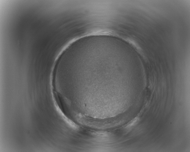 X0000068841422200605081227