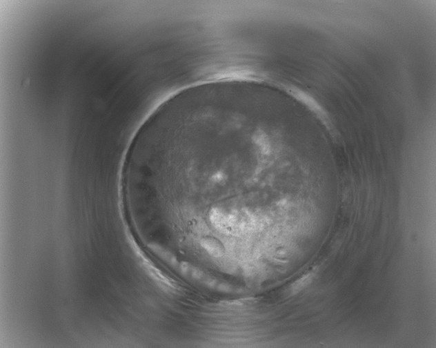 X0000068841423200605081227