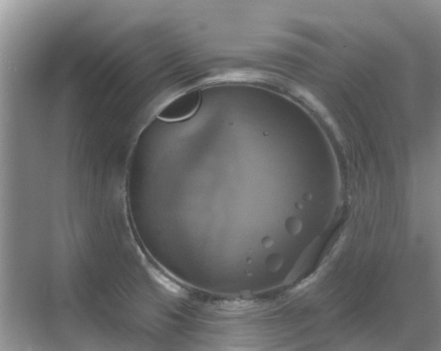 X0000068841425200605081227