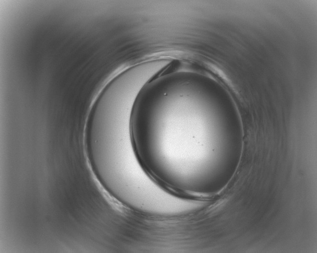 X0000068841426200605081227