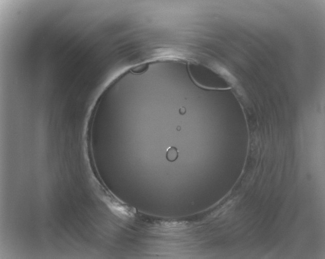 X0000068841427200605081228