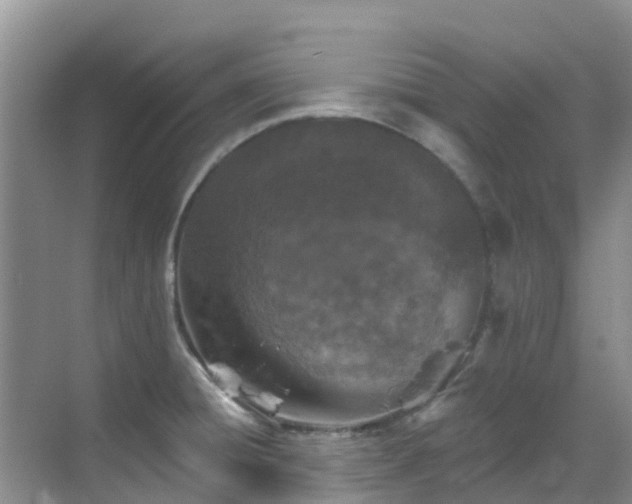 X0000068841428200605081228