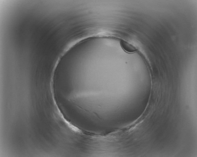 X0000068841429200605081228