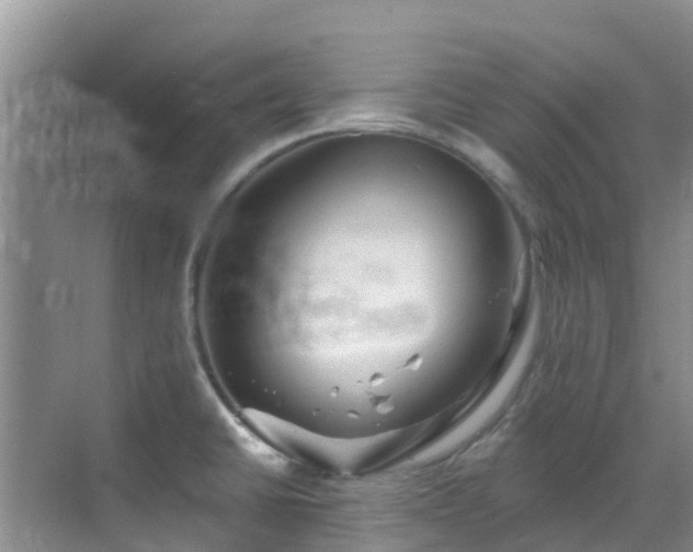 X0000068841430200605081228