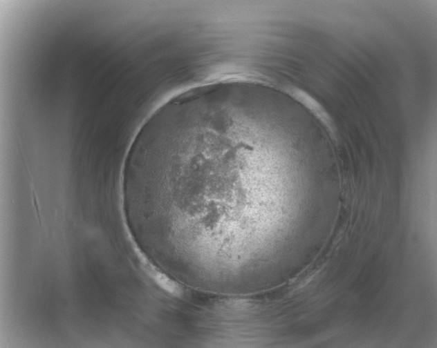 X0000068841431200605081228