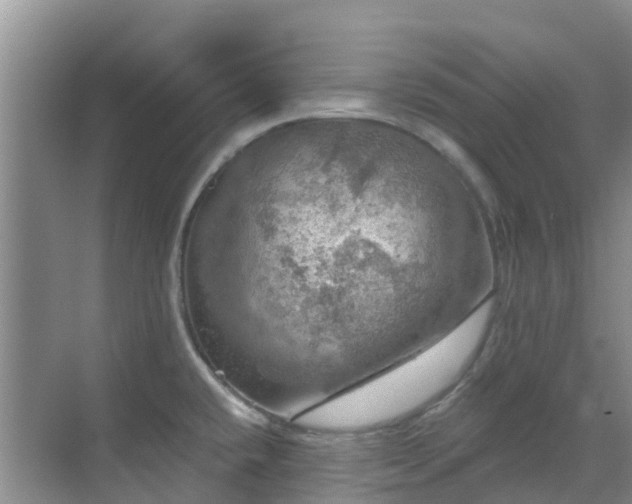 X0000068841432200605081228