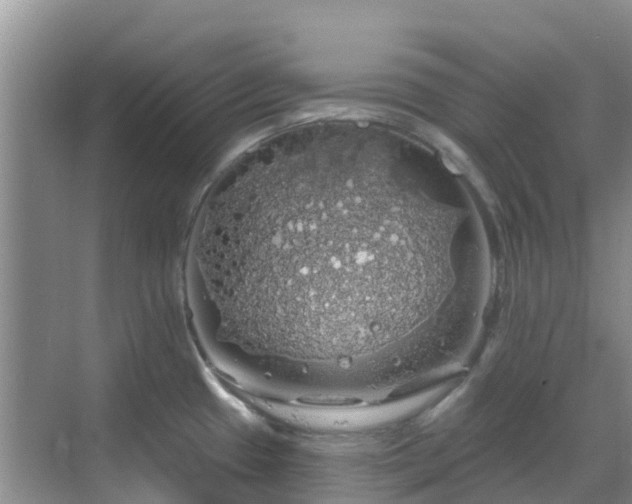 X0000068841433200605081228