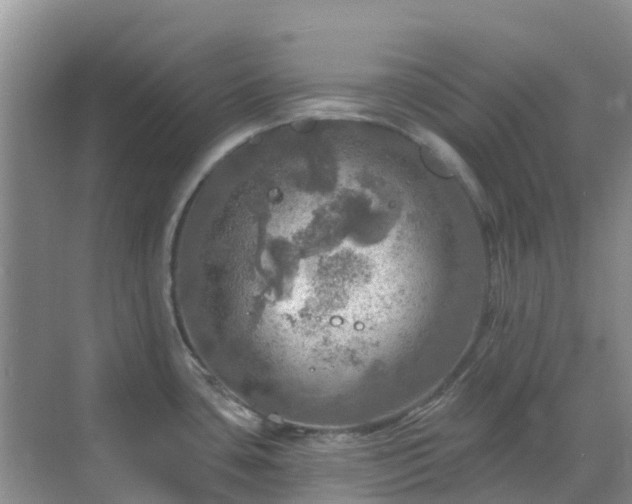 X0000068841435200605081228