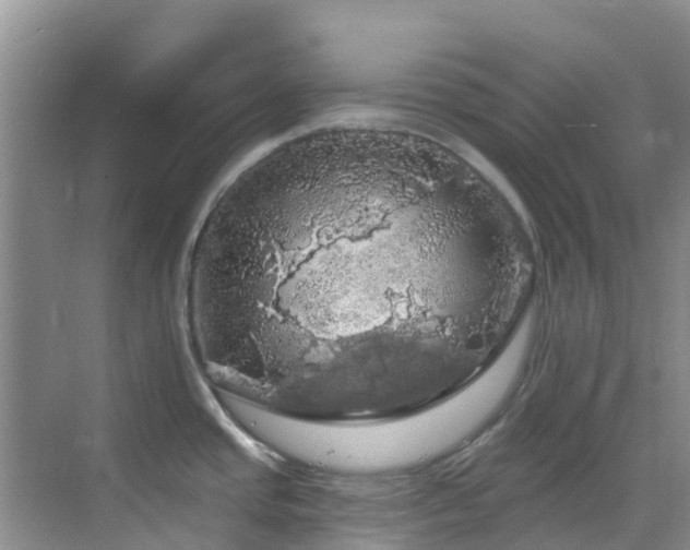 X0000068841437200605081228