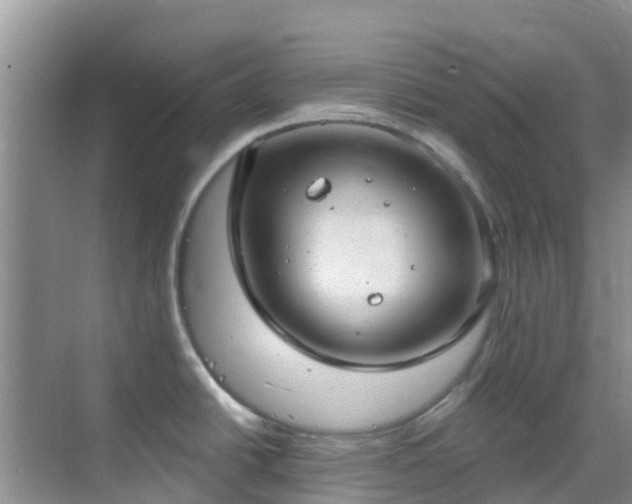 X0000068841438200605081228